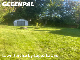 Lawn Maintenance nearby Renton, WA, 