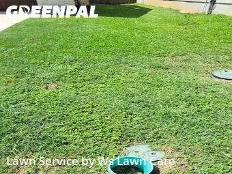 Yard Cutting nearby Cibolo, TX, 