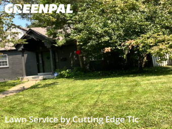 Yard Mowing nearby Webster Groves, MO, 