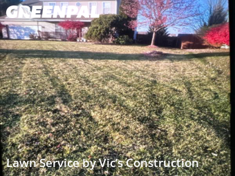 Lawn Mow nearby Lockport, IL, 