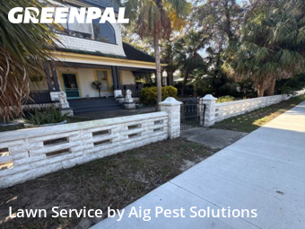 Yard Cutting nearby Tarpon Springs, FL, 