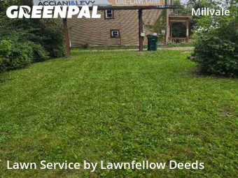 Yard Cutting nearby Cincinnati, OH, 