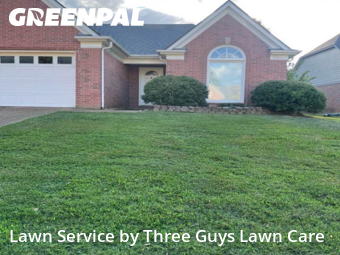 Yard Care in Cordova, 38016, Lawn Management by Three Guys Lawn Care, work completed in Dec , 2025