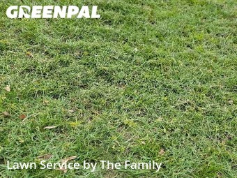 Lawn Cut nearby Longwood, FL, 