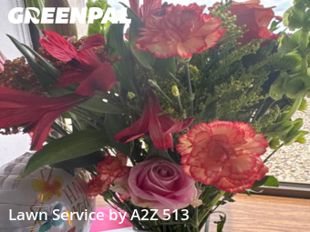 Lawn Cut nearby Cincinnati, OH, 