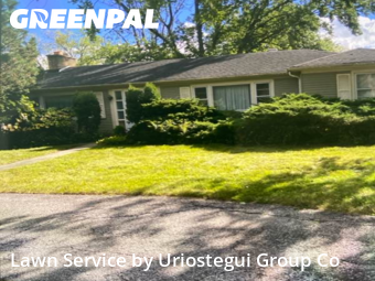 Lawn Cut nearby Northbrook, IL, 