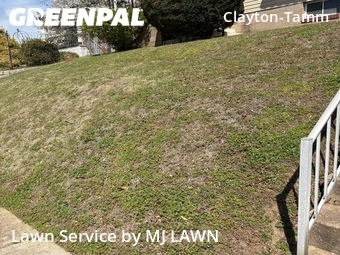 Yard Cutting nearby St. Louis, MO, 