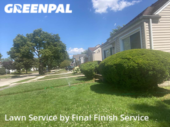 Lawn Cut nearby Royal Oak, MI, 