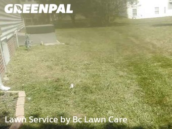 Lawn Cutting nearby Raleigh, NC, 