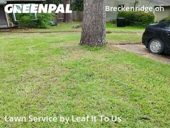 Lawn mowed in Tallahassee, 32301