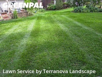 Yard Care in Lisle, 60532, Weekly Mowing by Terranova Landscape, work completed in Nov , 2025