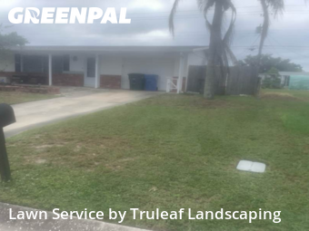 Grass Cutting nearby Bradenton, FL, 