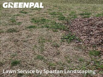 Yard Cutting nearby Concord, NC, 