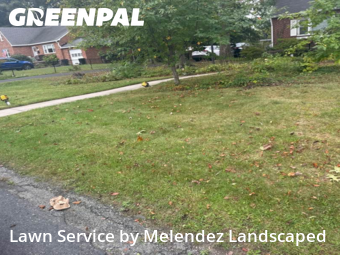 Backyard Mowing in Towson, 21286, Backyard Mowing by Melendez Landscaped , work completed in Nov , 2025