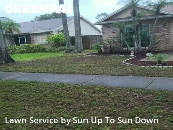 Lawn Care Service nearby Palm Harbor, FL, 