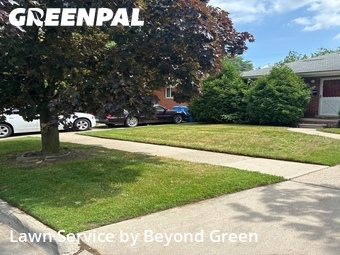Grass Cut nearby Dearborn Heights, MI, 