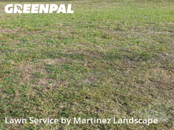 Property Maintenance in Lady Lake, 32159, Backyard Mowing by Martinez Landscape, work completed in Dec , 2025