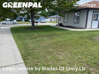 Lawn Care Service nearby Jacksonville, TN, 