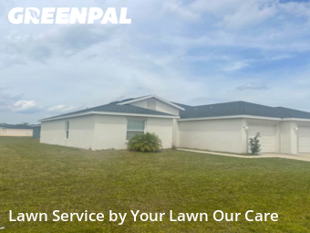 Yard Mowing nearby Poinciana, FL, 