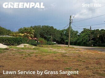 Lawn Cut nearby St. Petersburg, FL, 