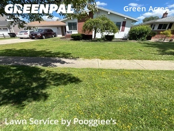 Lawn Mow nearby Tonawanda, NY, 