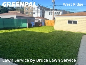 Grass Cut nearby Chicago, IL, 