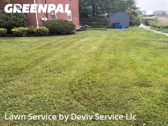 Grass Cutting nearby Silver Spring, MD, 