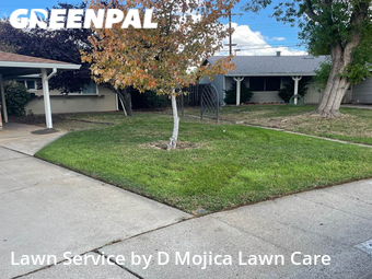 Grass Cutting nearby Citrus Heights, CA, 