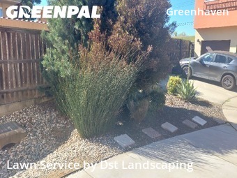 Lawn Cut nearby Sacramento, CA, 