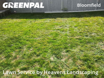 Yard Cutting in Pittsburgh, 15224, Yard Grooming by Heavens Landscaping, work completed in Nov , 2025