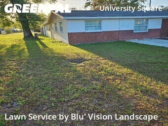 Lawn Maintenance nearby Tampa, FL, 