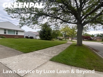 Yard Cutting nearby Warrensville Heights, OH, 