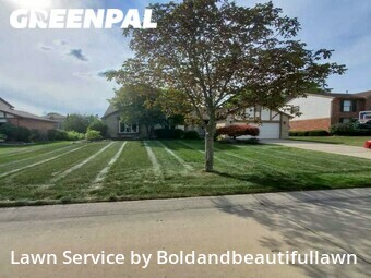 Yard Mowing nearby Novi, MI, 