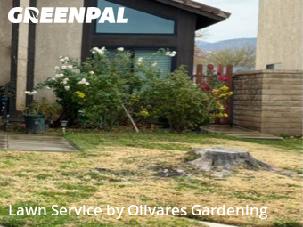 Work completed by yard-maintenance-professionals-in-Palmdale-CA