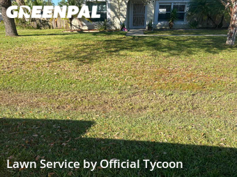 Grass Cutting nearby Palm Coast, FL, 