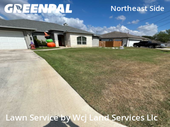 Grass Services in Selma, 78154, Lawn Work by Wcj Land Services Llc, work completed in Oct , 2025
