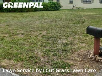 Grass Cut nearby Largo, FL, 