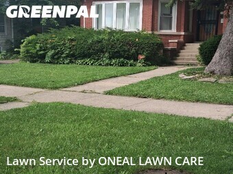 Lawn Care nearby Maywood, IL, 