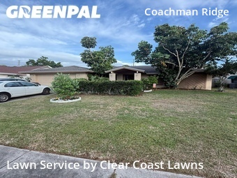 Lawn Mow nearby Clearwater, FL, 