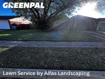 Lawn Carein The Colony,75056,Lawn Mow by Alfas Landscaping, work completed in Dec , 2025