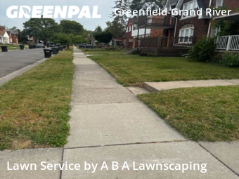 Grass Cut nearby Detroit, MI, 