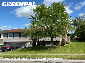 Lawn Mowing nearby Lexington, KY, 