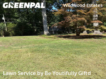 Grass Cutting nearby Raleigh, NC, 