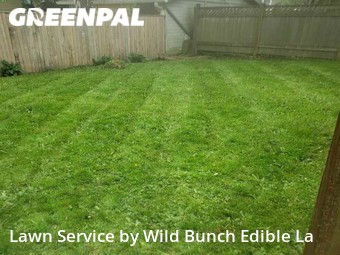 Grass Cutting nearby Seattle, WA, 