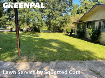 Grass Cut nearby Lafayette, LA, 