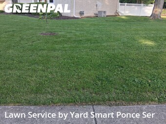 Lawn mowed in Plainfield, 60544