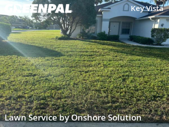 Lawn Cutting nearby Holiday, FL, 