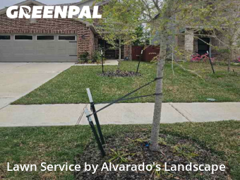 Lawn Mowin Porter,77365,Grass Cut by Alvarado's Landscape, work completed in Nov , 2025