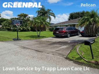 Lawn Cut nearby Cape Coral, FL, 