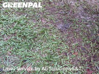 Grass Cutting nearby Winter Haven, FL, 